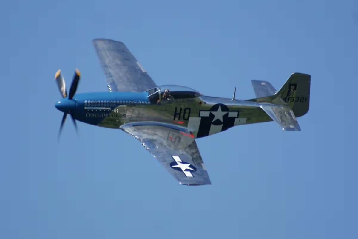 Unidentified — Warbird
