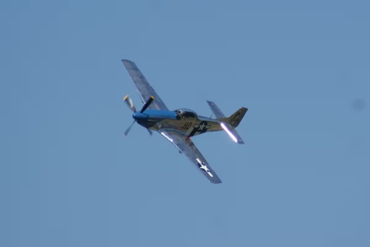 Unidentified — Warbird