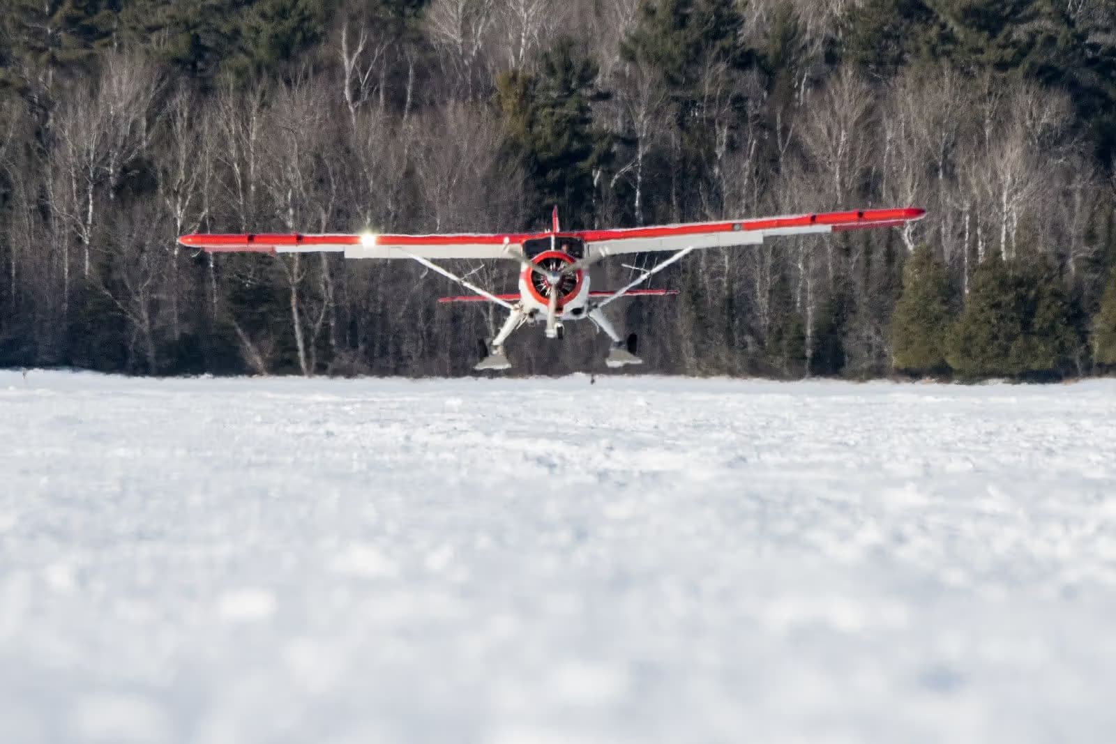 FS-LSC — Single-engine aircraft