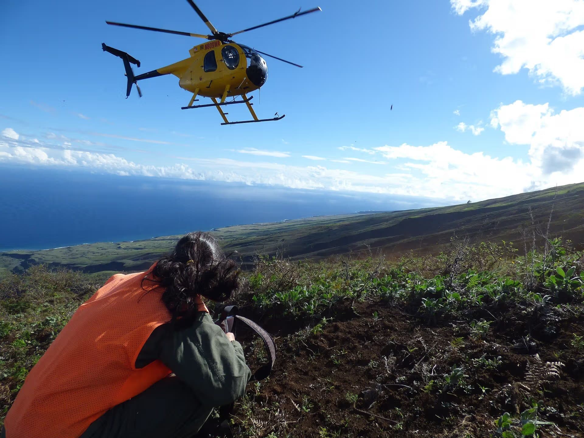 N809WA — Helicopter