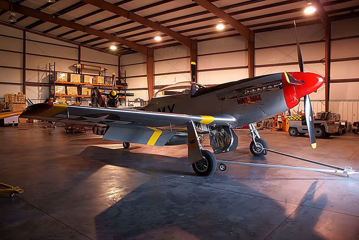 Unidentified — Warbird