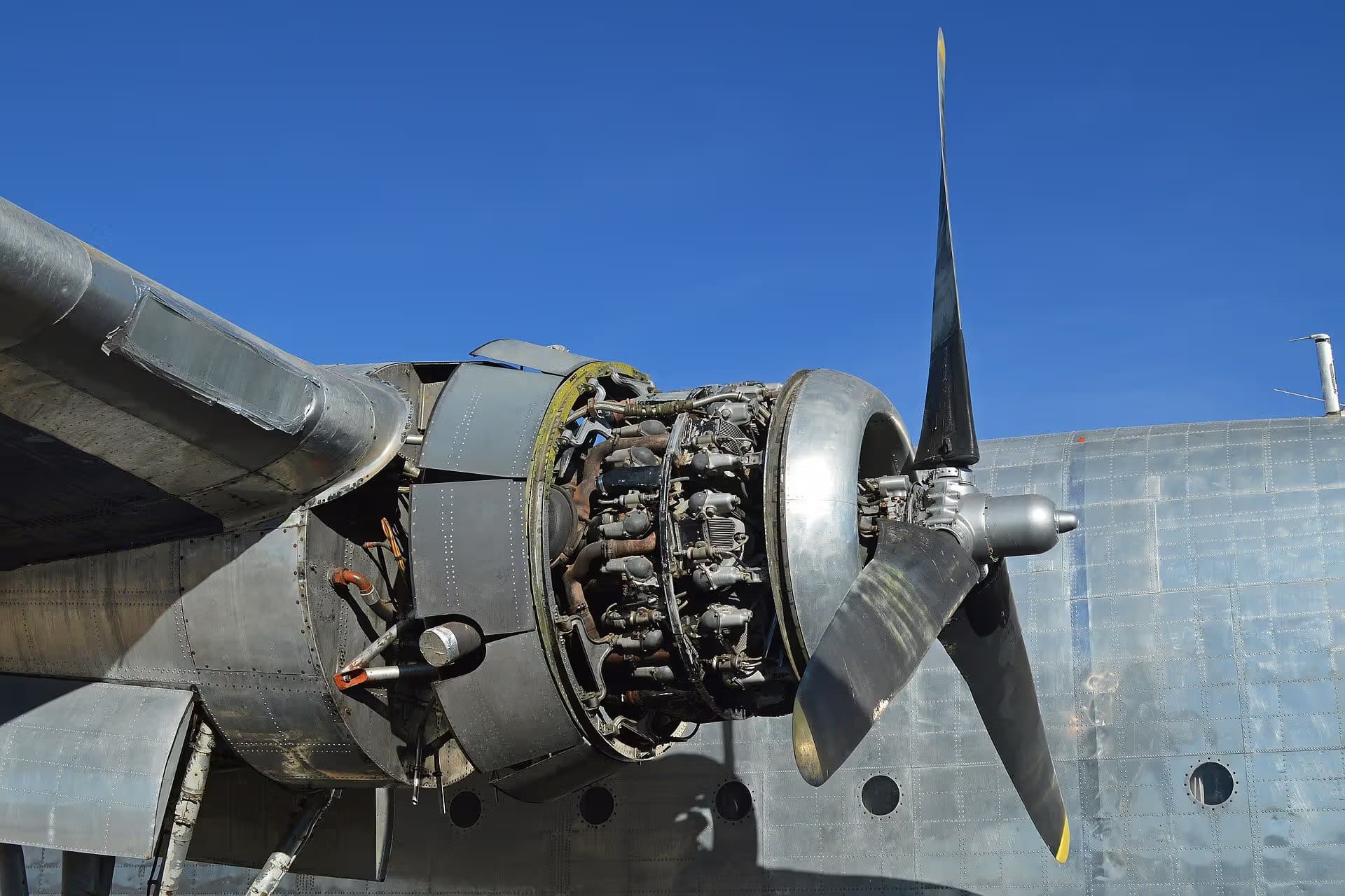 N15501 — Warbird