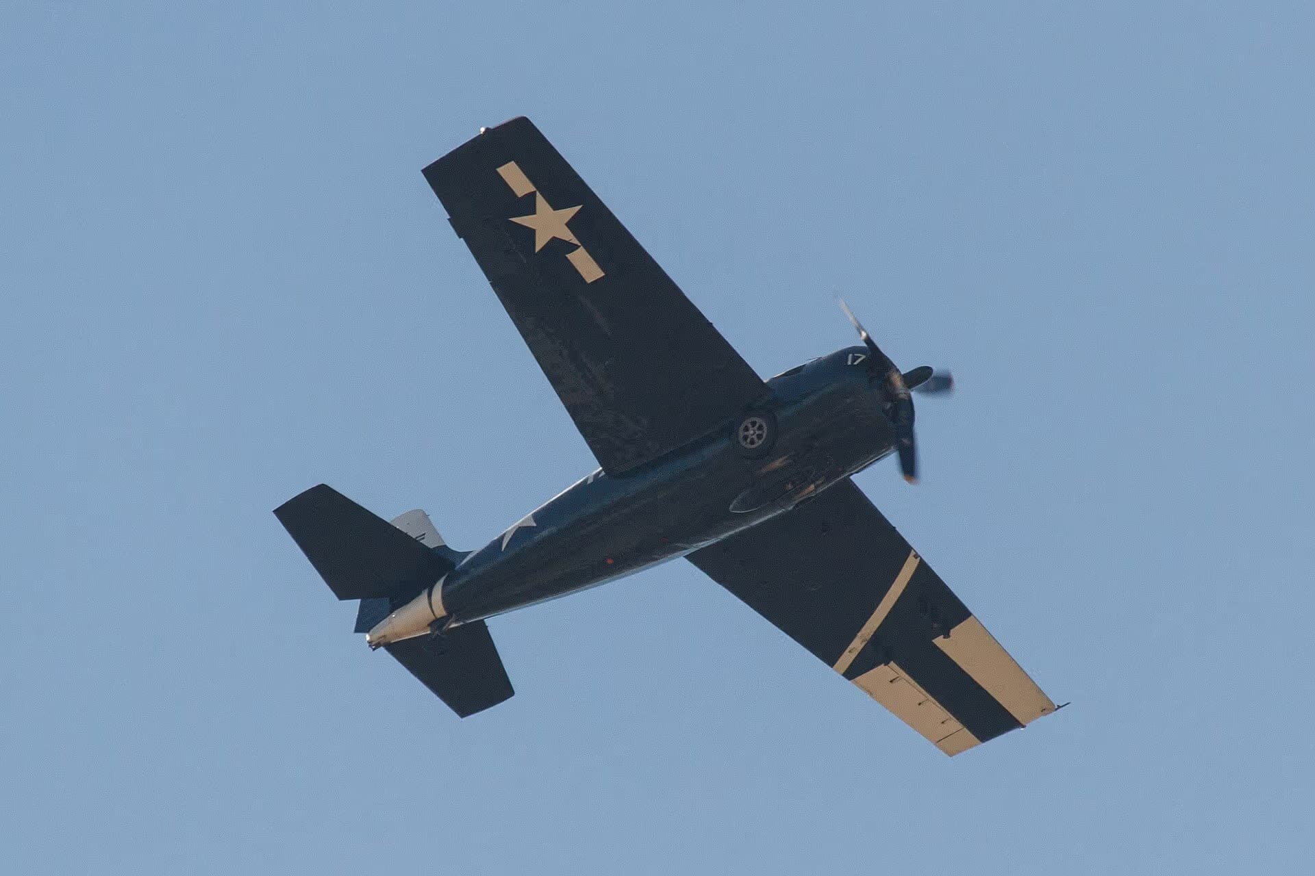 Unidentified — Warbird