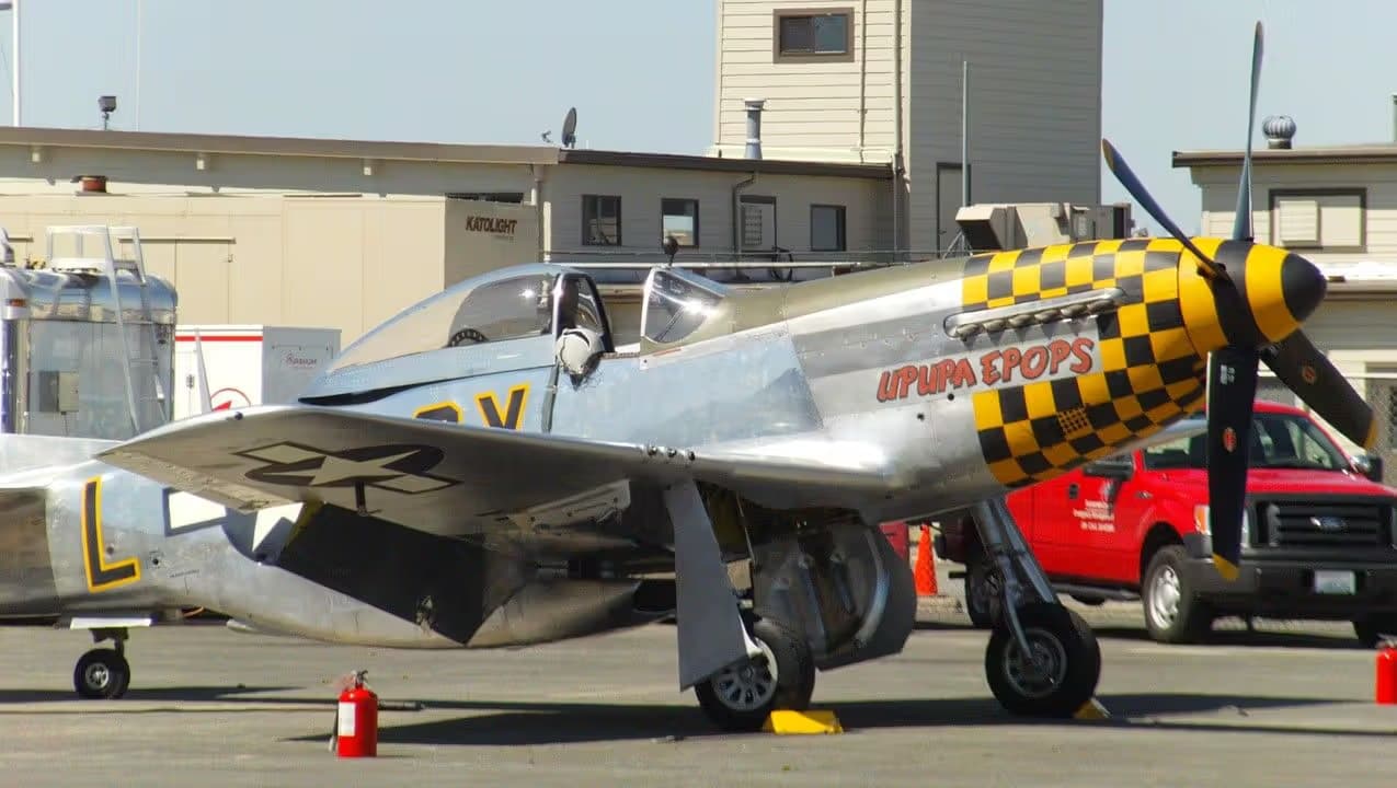 Unidentified — Warbird