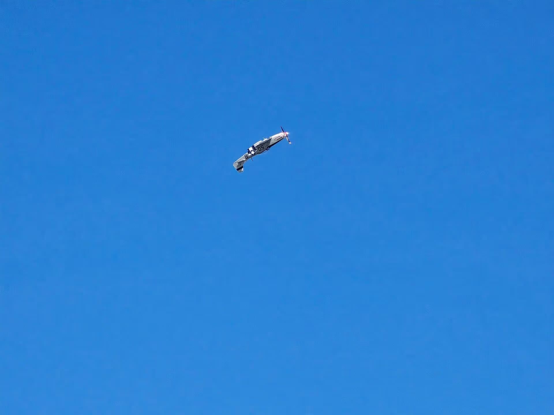 Unidentified — Warbird