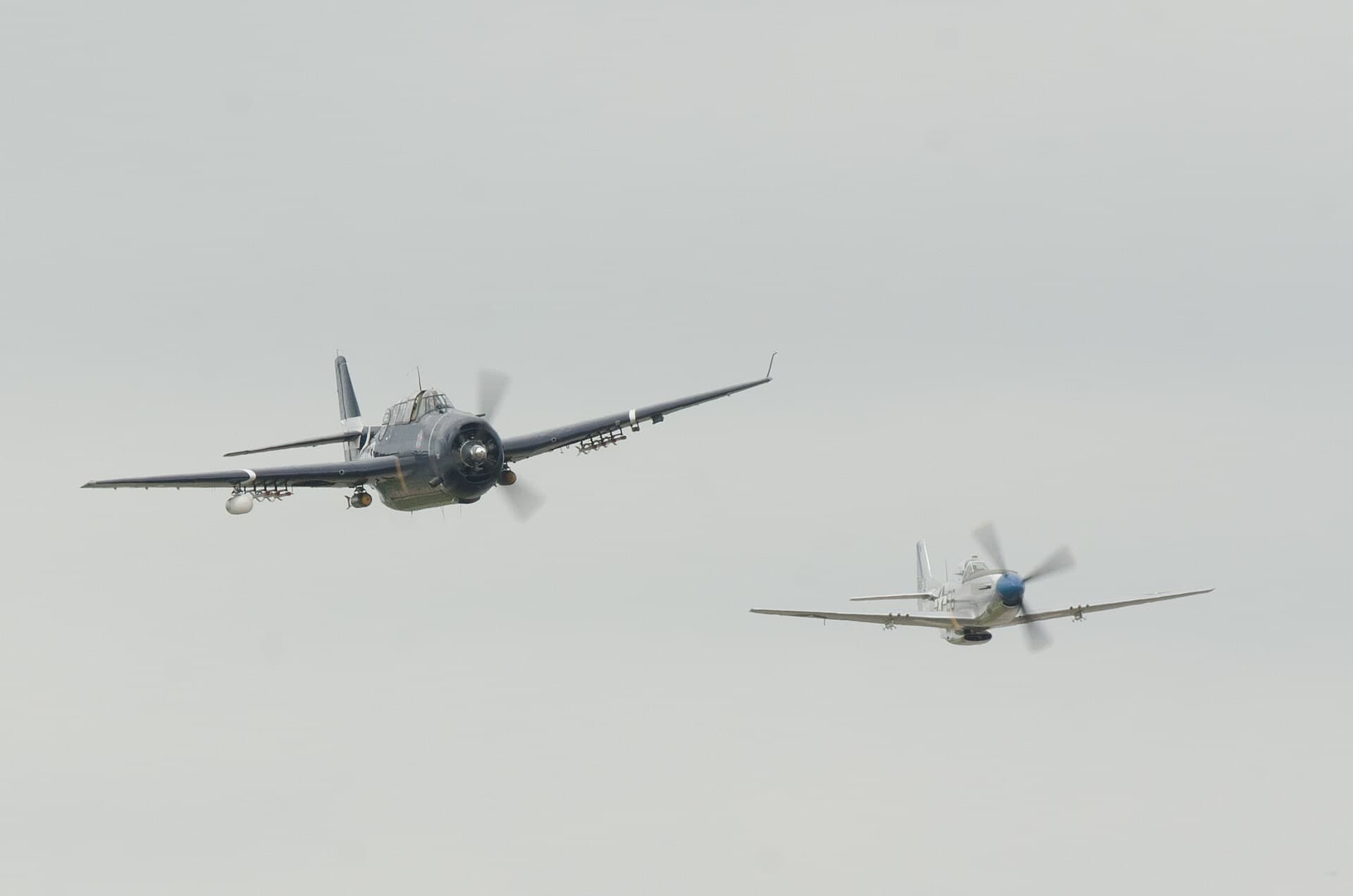 N1751D — Warbird