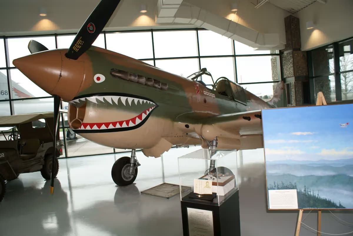 Unidentified — Warbird