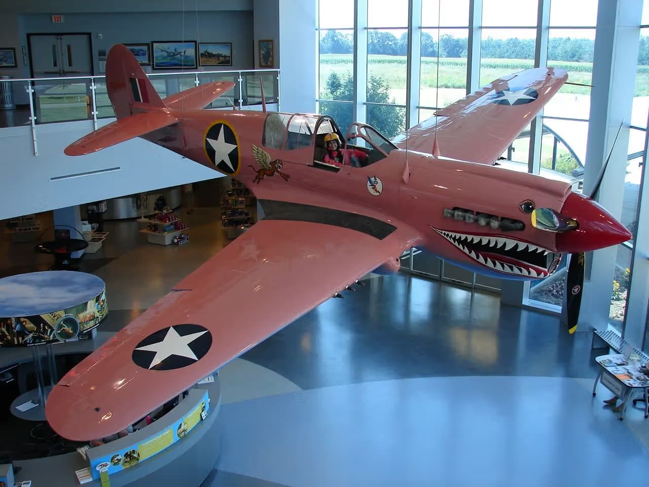 Unidentified — Warbird