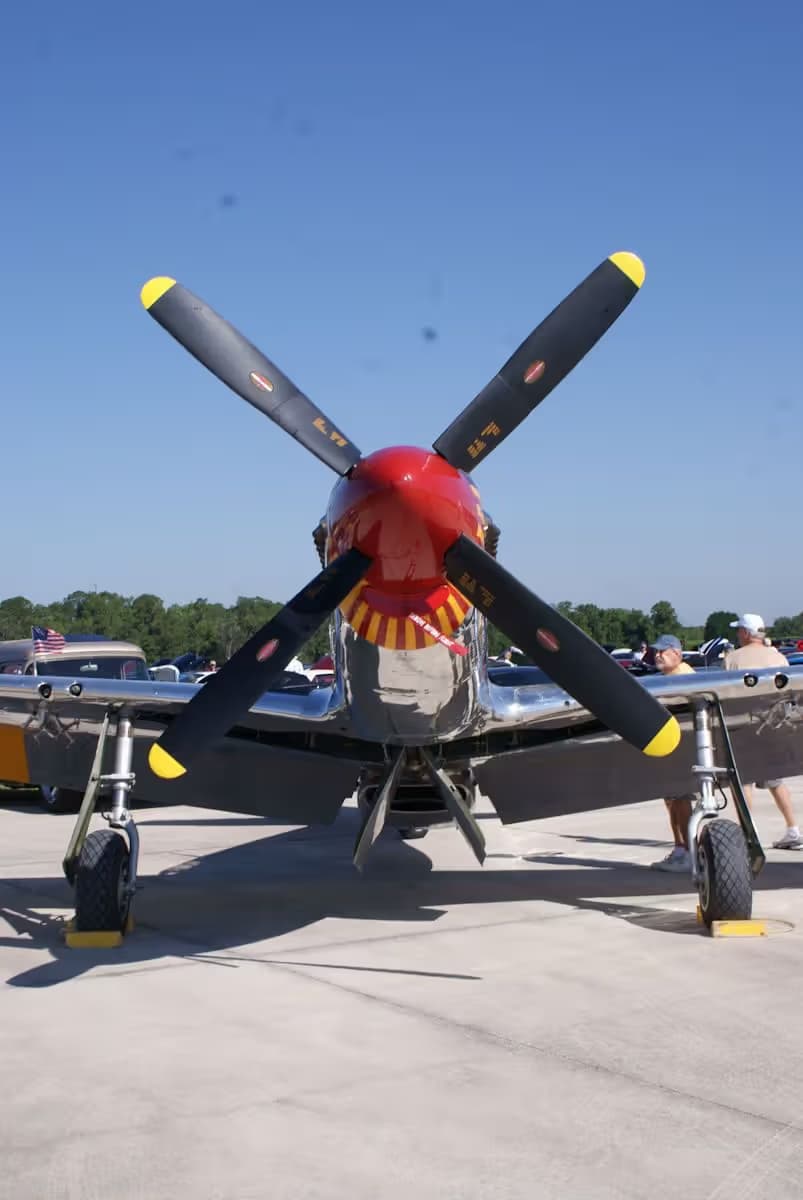 Unidentified — Warbird