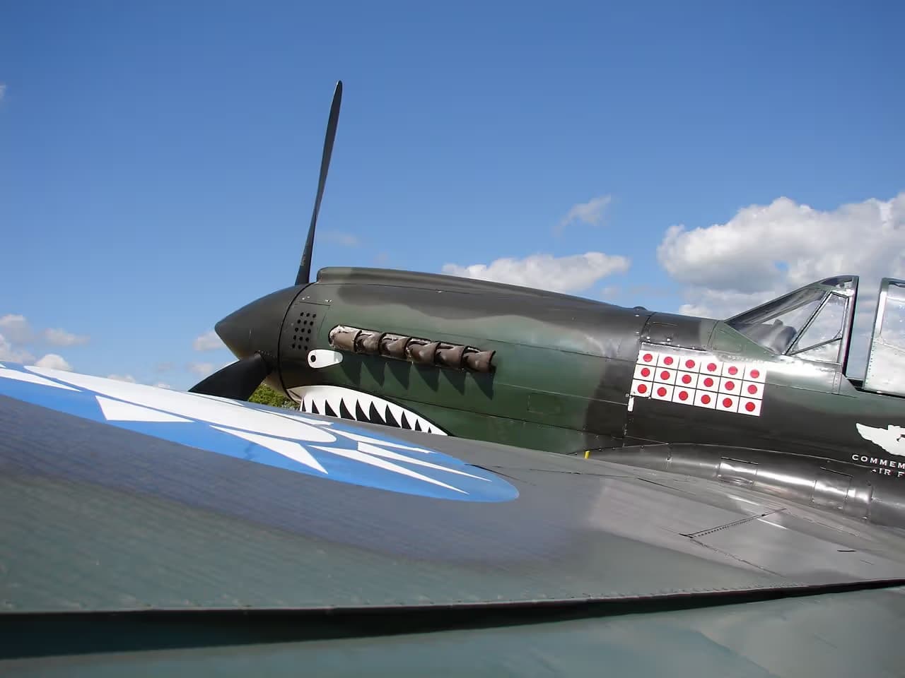 N1226N — Warbird