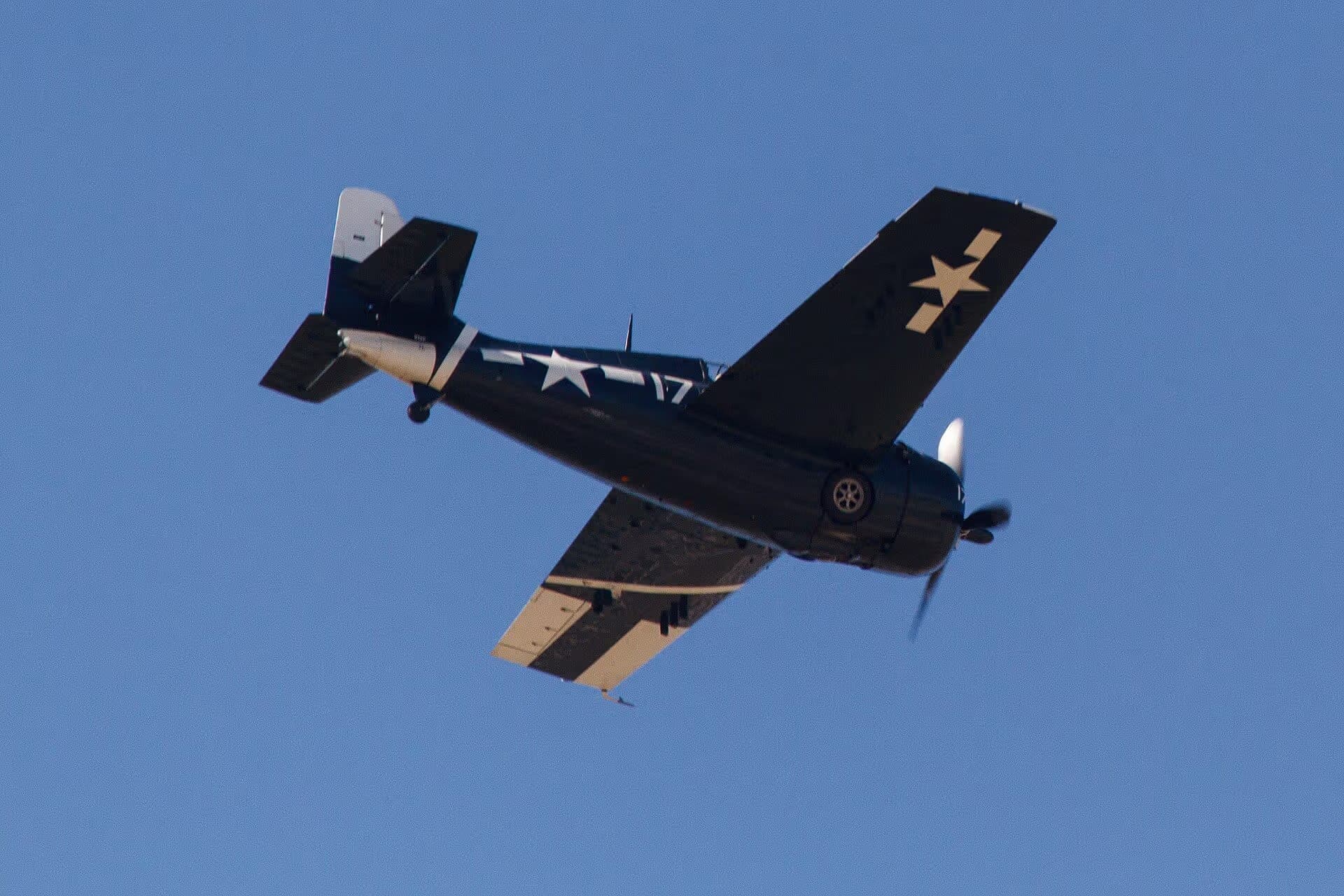 Unidentified — Warbird