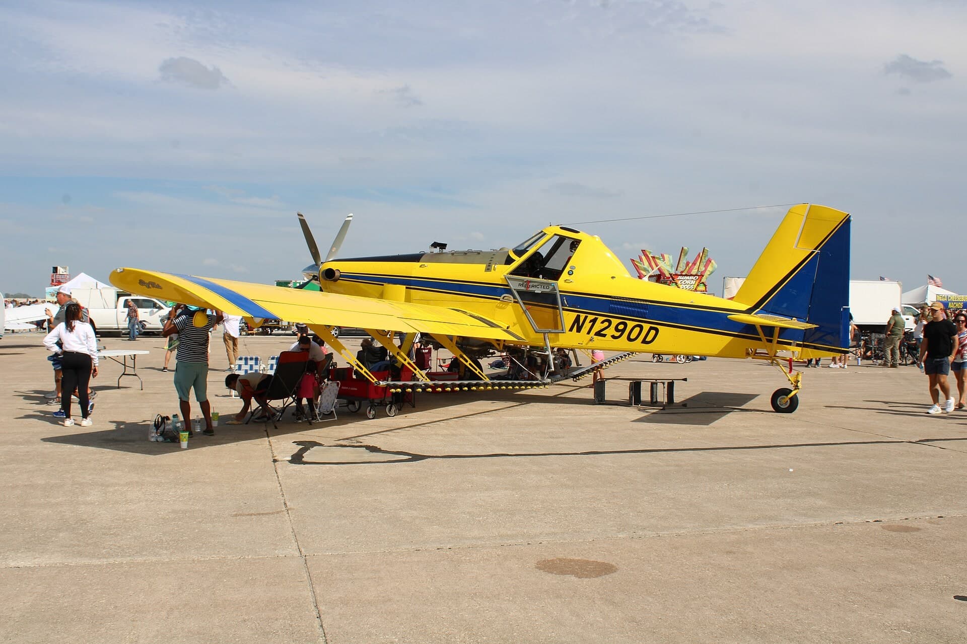 N1290D — Single-engine aircraft