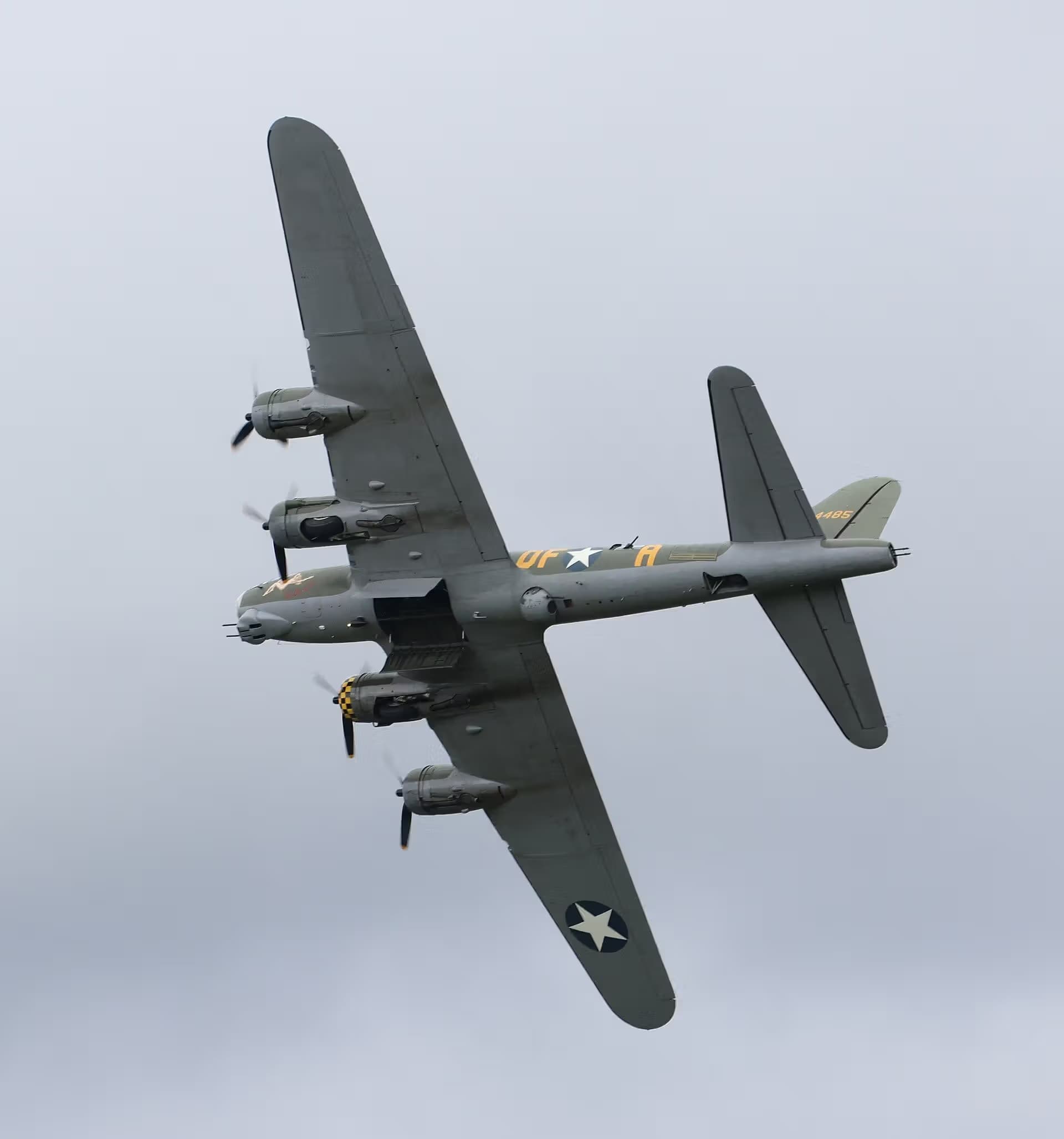 Unidentified — Warbird