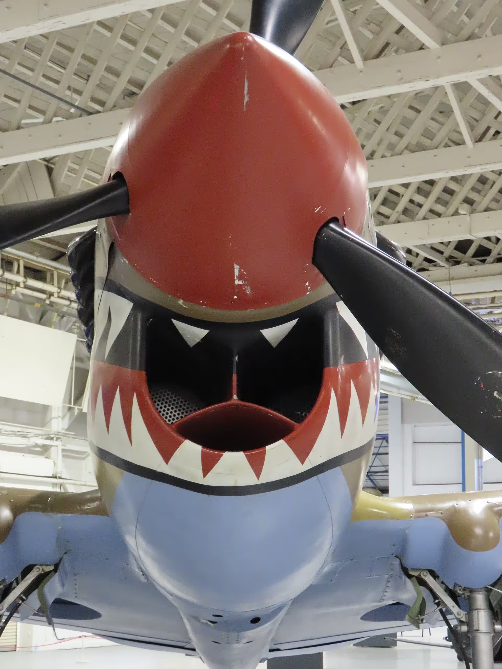 Unidentified — Warbird