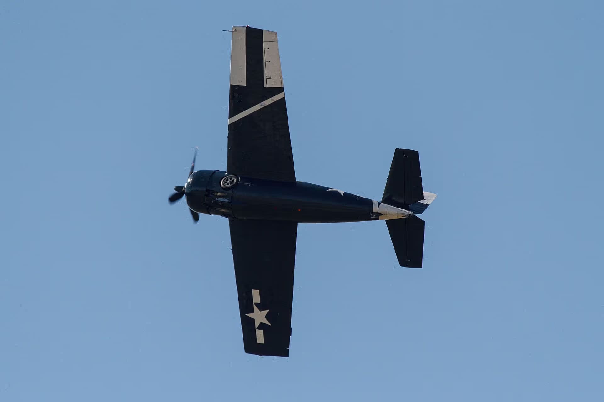 Unidentified — Warbird