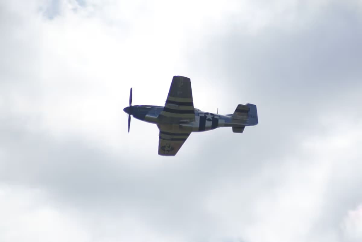 Unidentified — Warbird