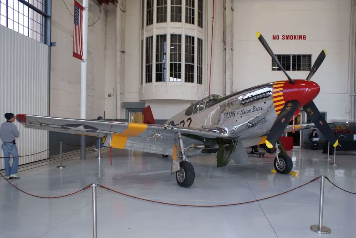Unidentified — Warbird