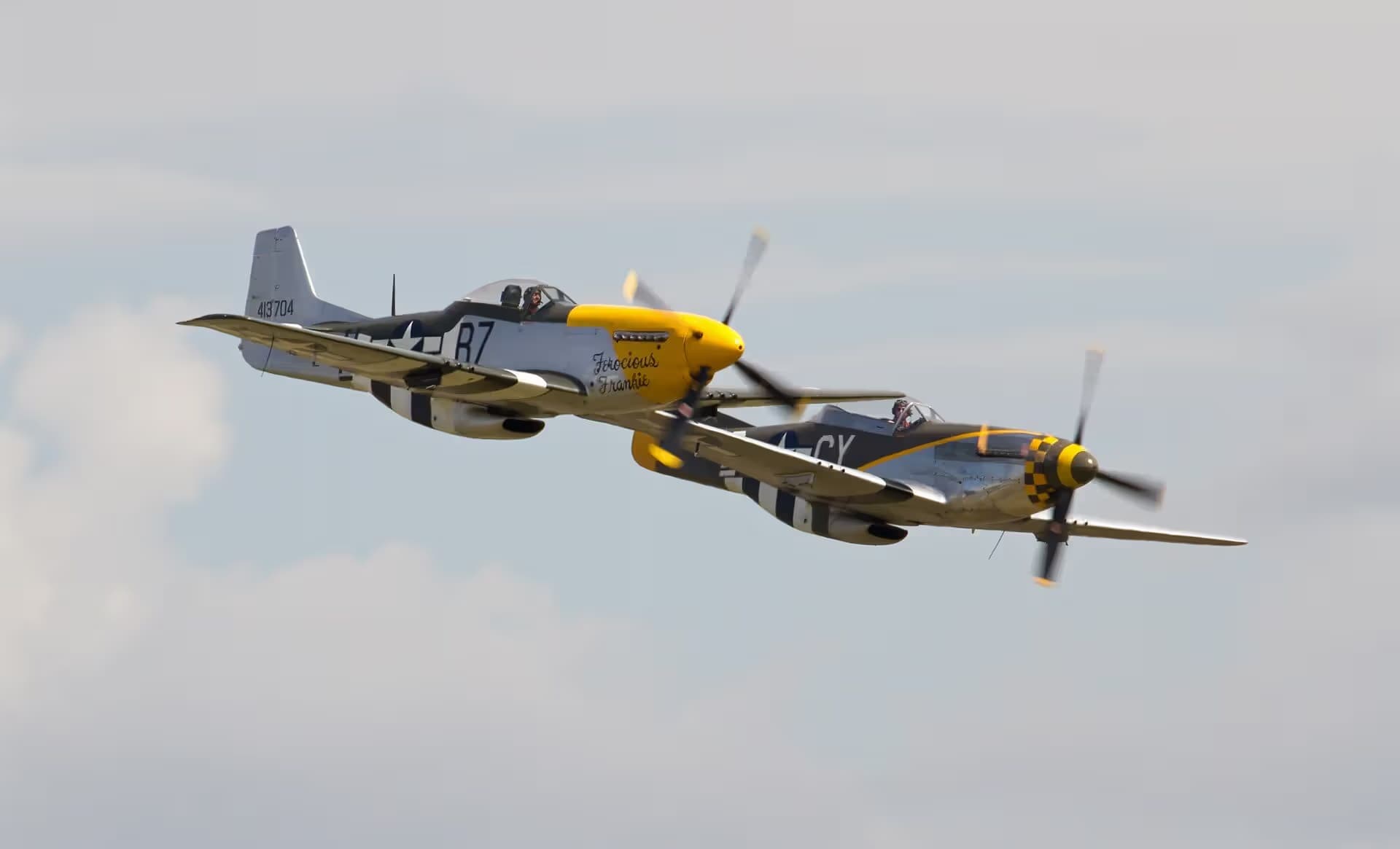 N251RJ — Warbird