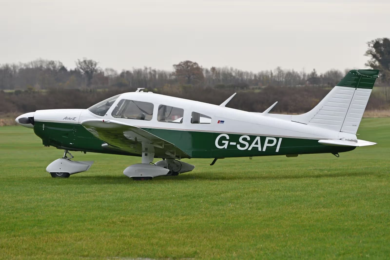 G-SAPI — Piper