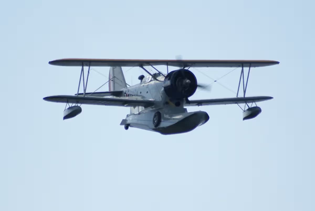 N1214N — Single-engine aircraft
