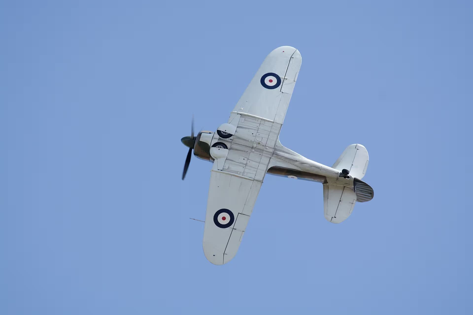 Unidentified — Warbird