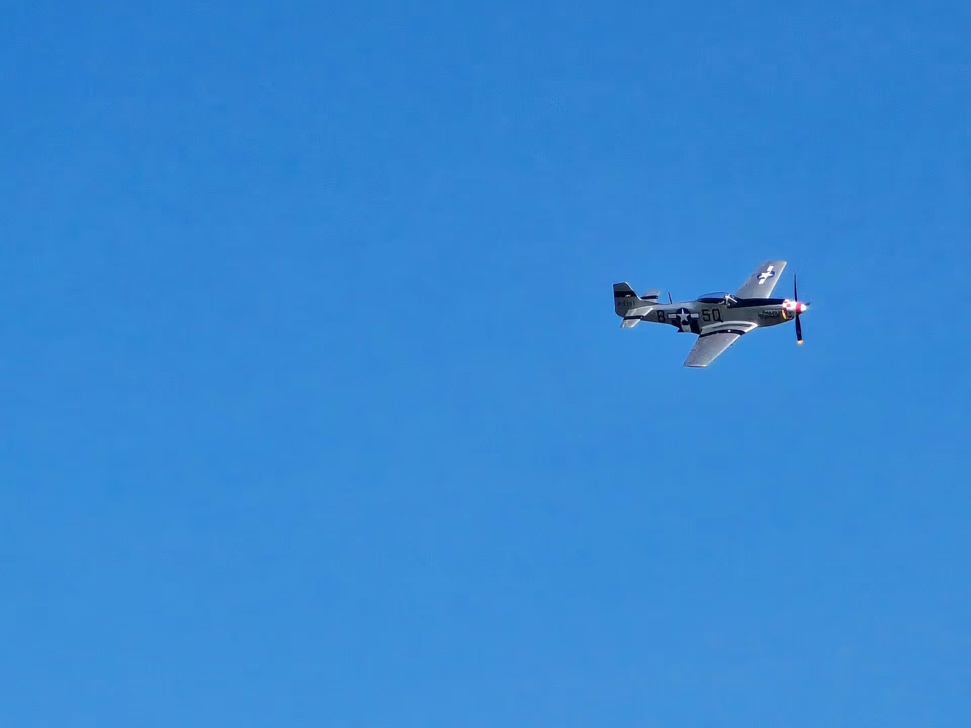Unidentified — Warbird