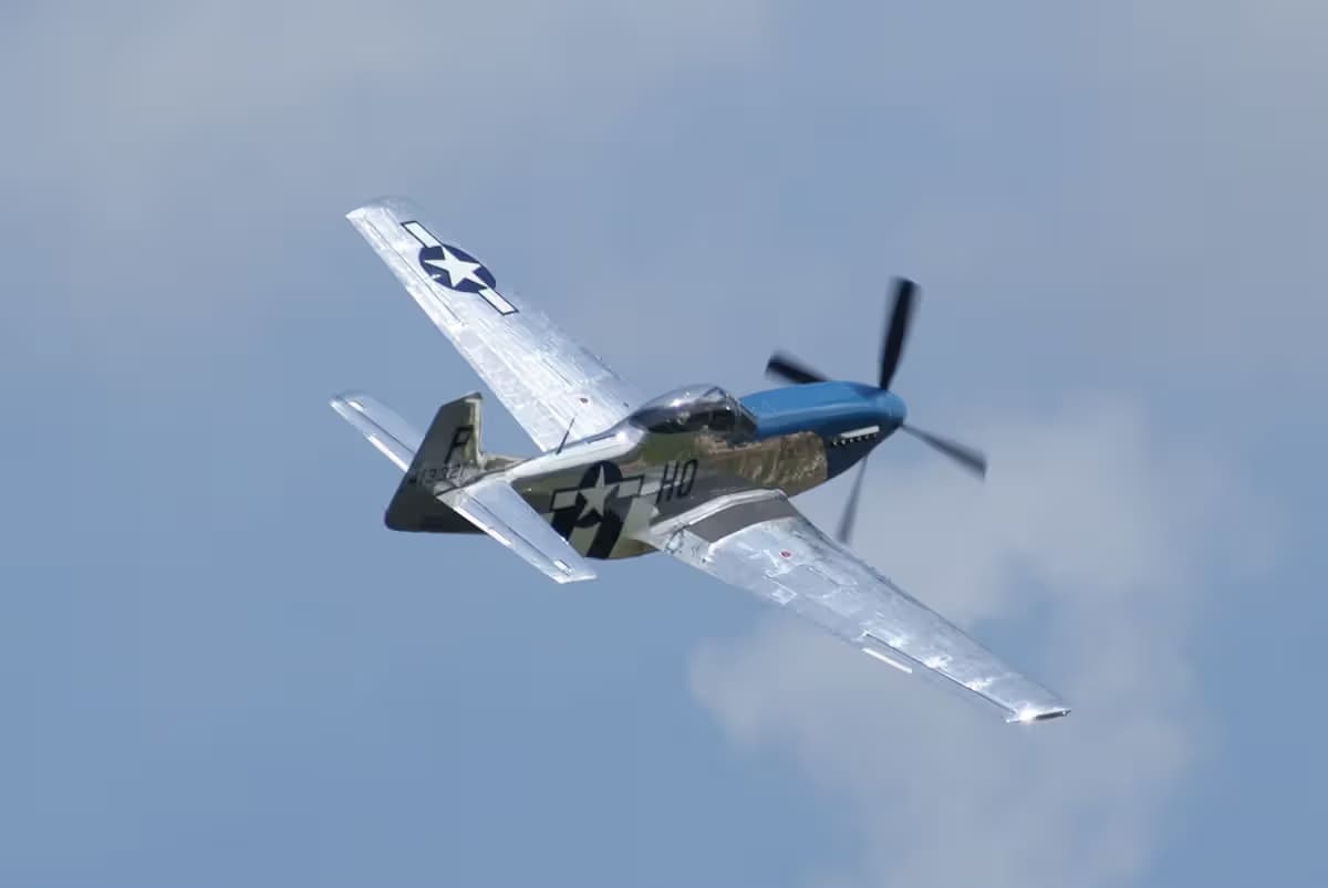 Unidentified — Warbird