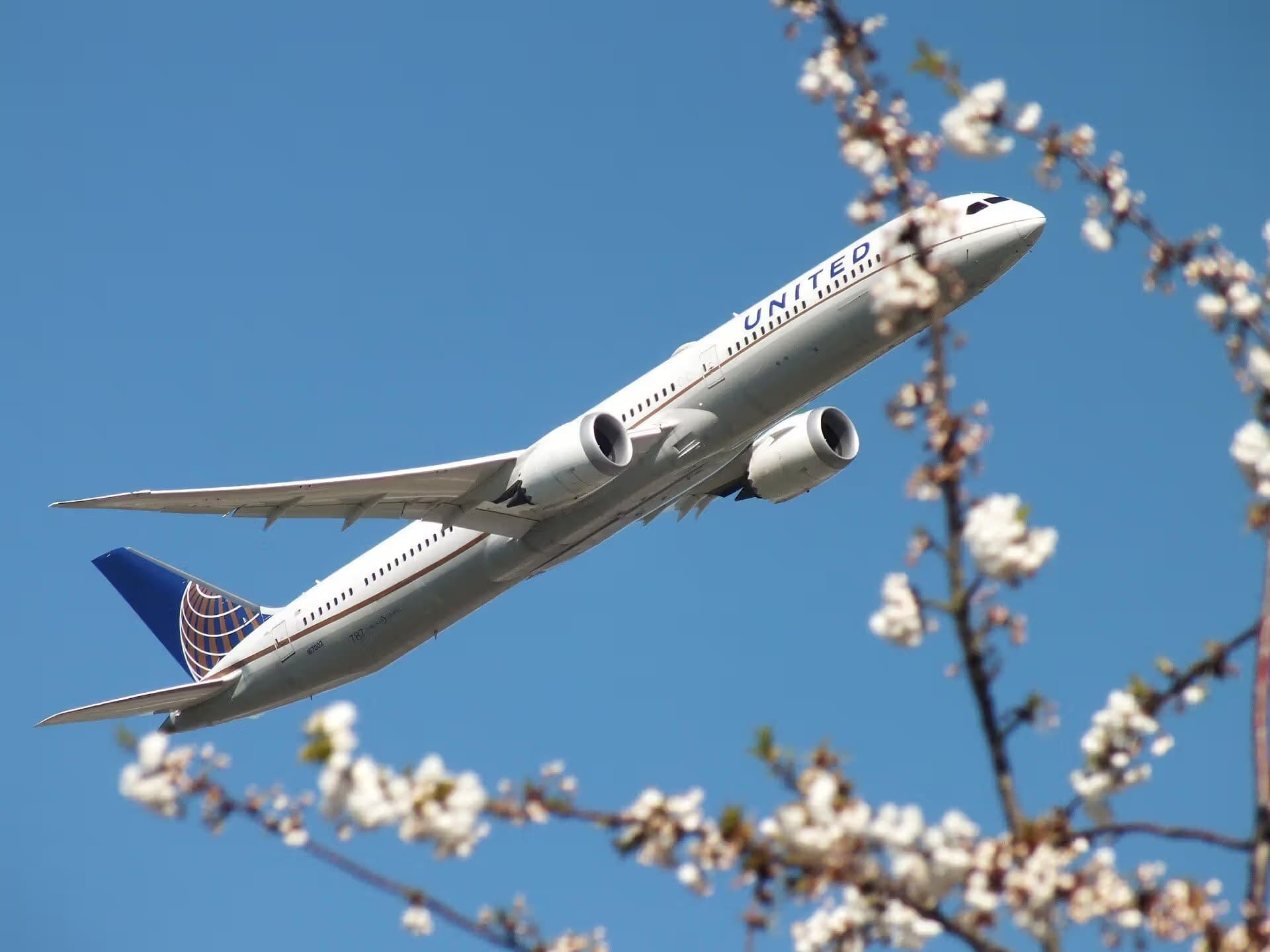 N17002 — Twin-engine aircraft
