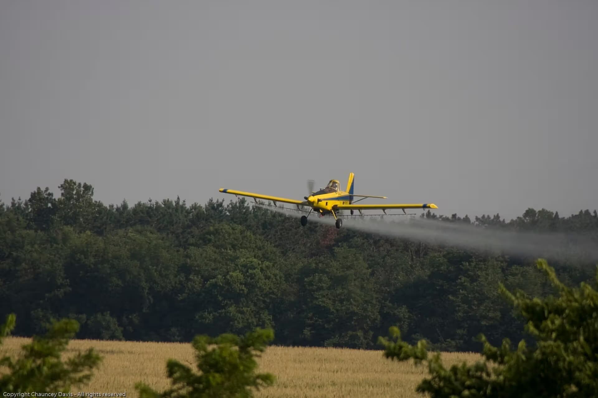N1531G — Aircraft