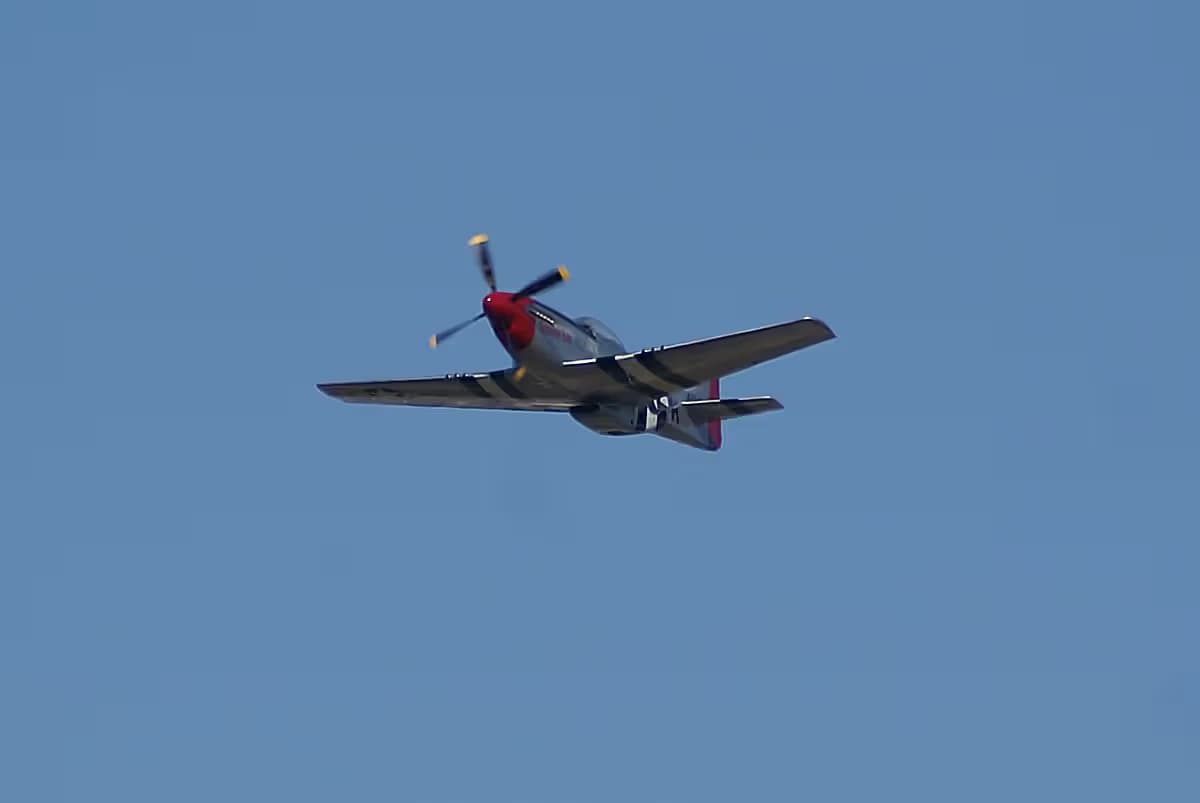 Unidentified — Warbird