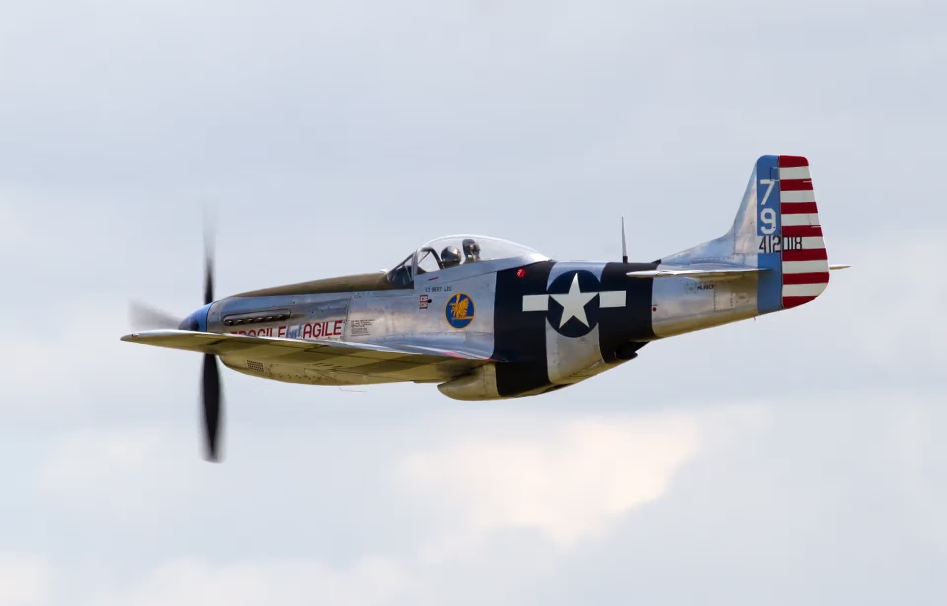 Unidentified — Warbird