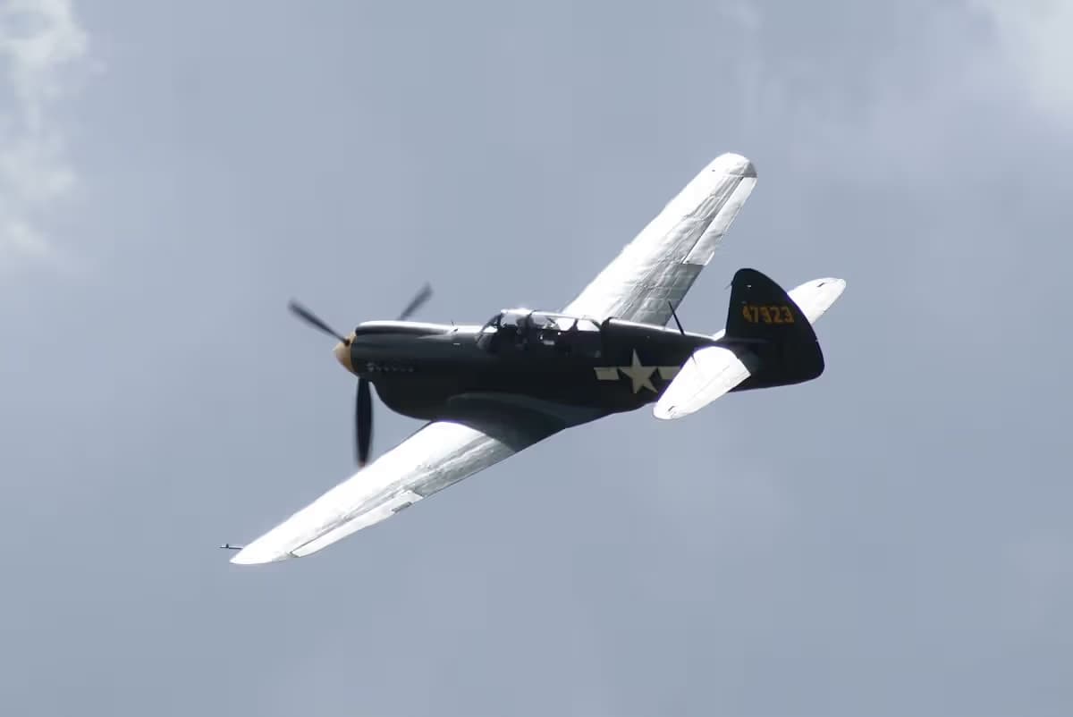 Unidentified — Warbird