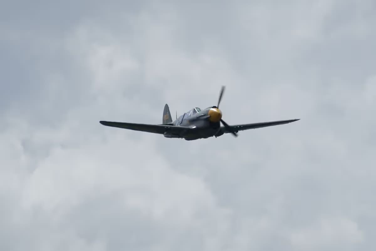 Unidentified — Warbird