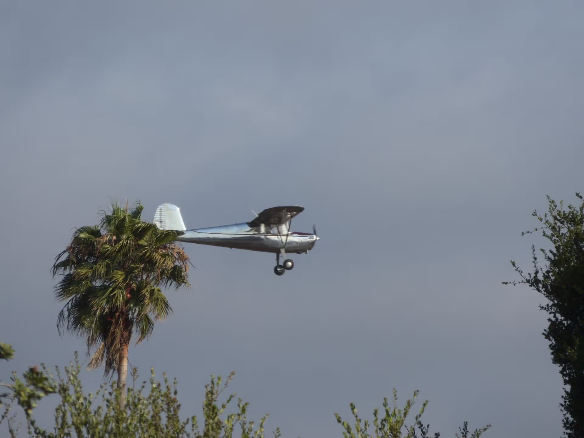 N2293N — Single-engine aircraft