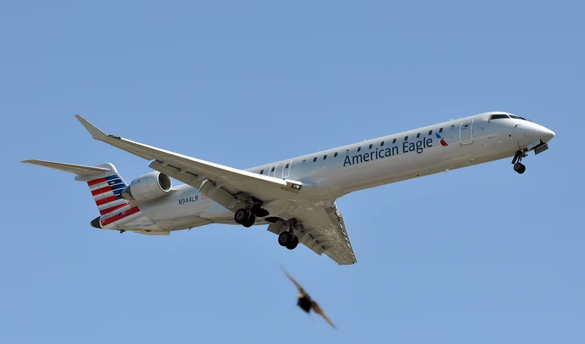 N944LR — Aircraft
