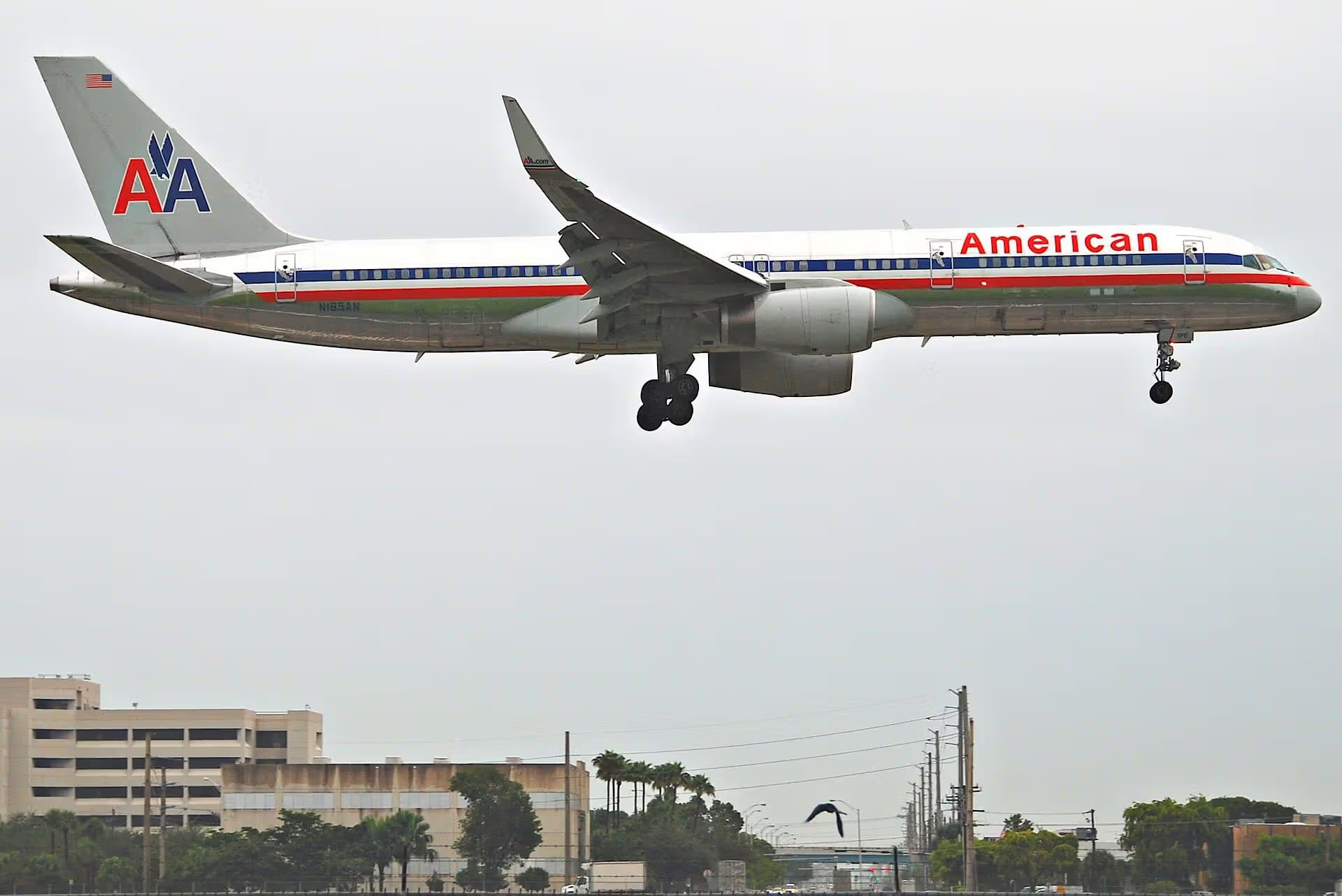 N195AN — Twin-engine aircraft