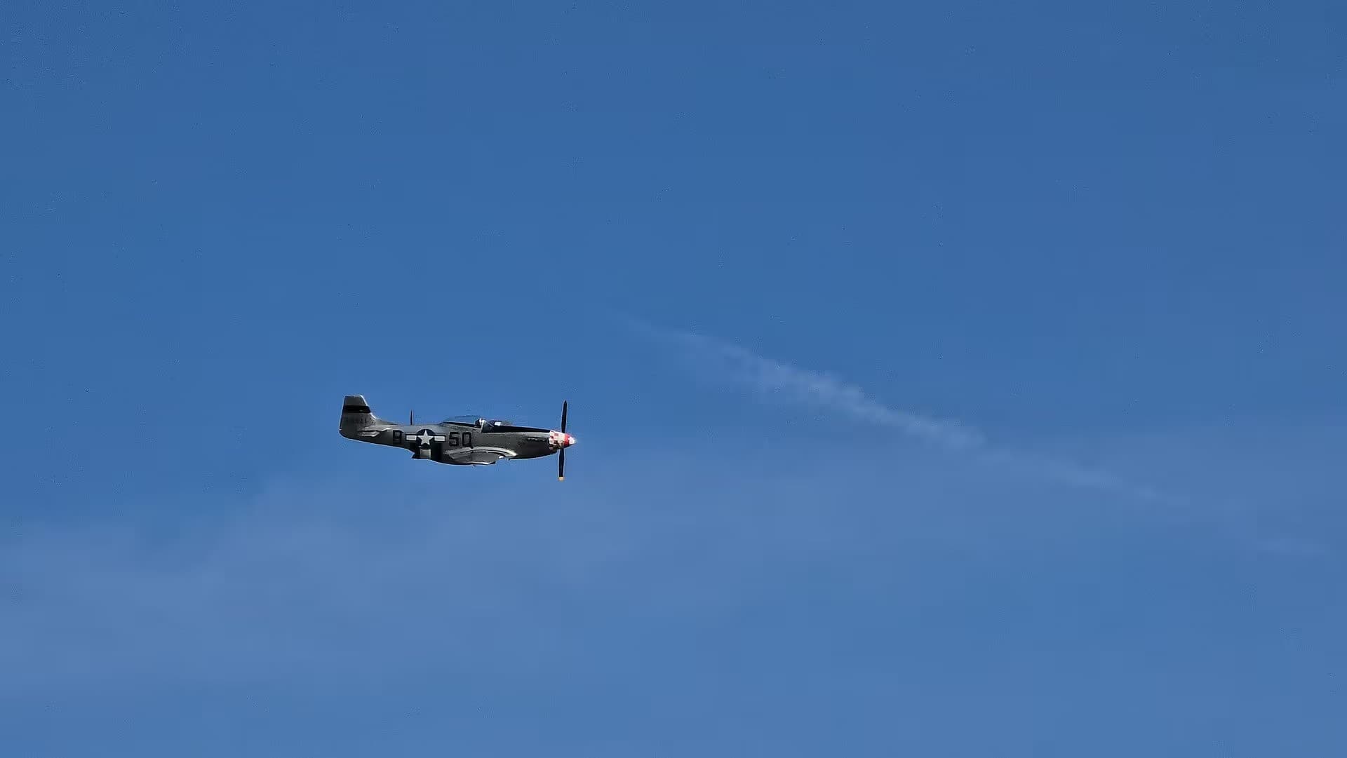 Unidentified — Warbird