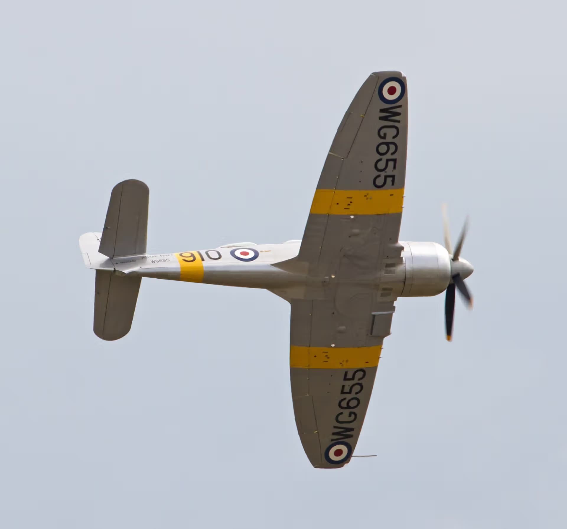 Unidentified — Warbird
