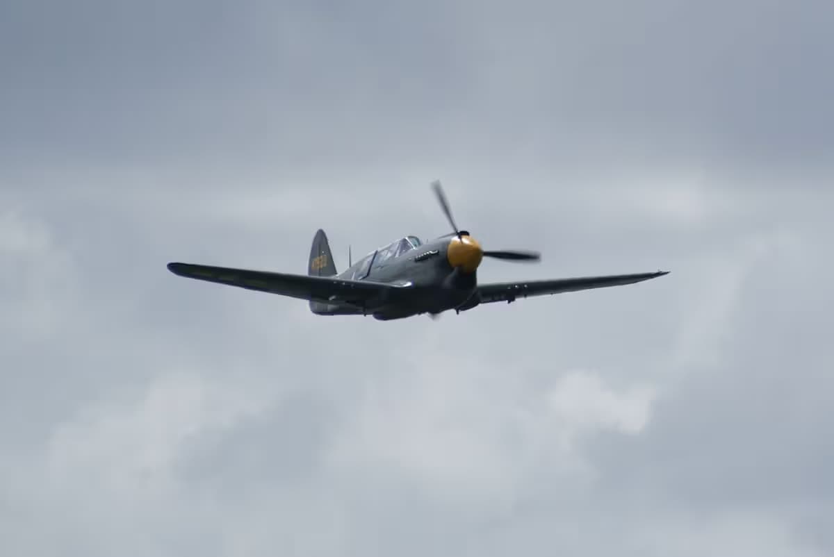 Unidentified — Warbird