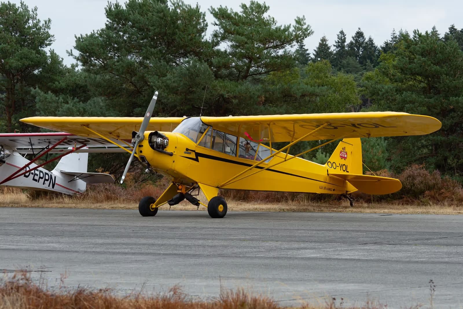 OO-YOL — Aircraft