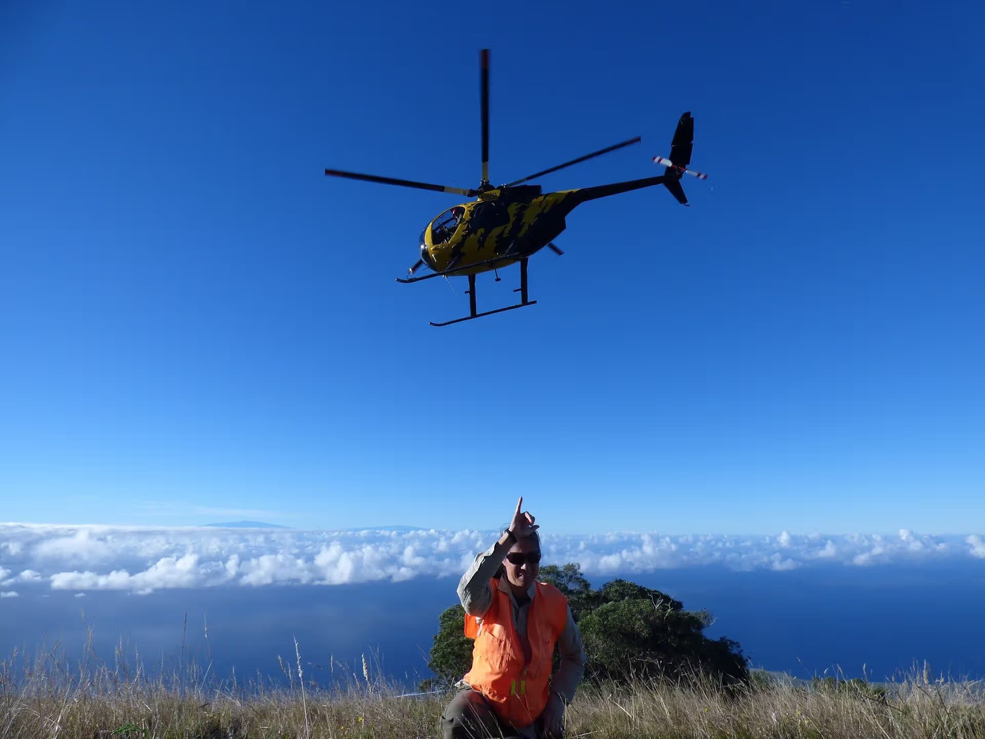 N58251 — Helicopter