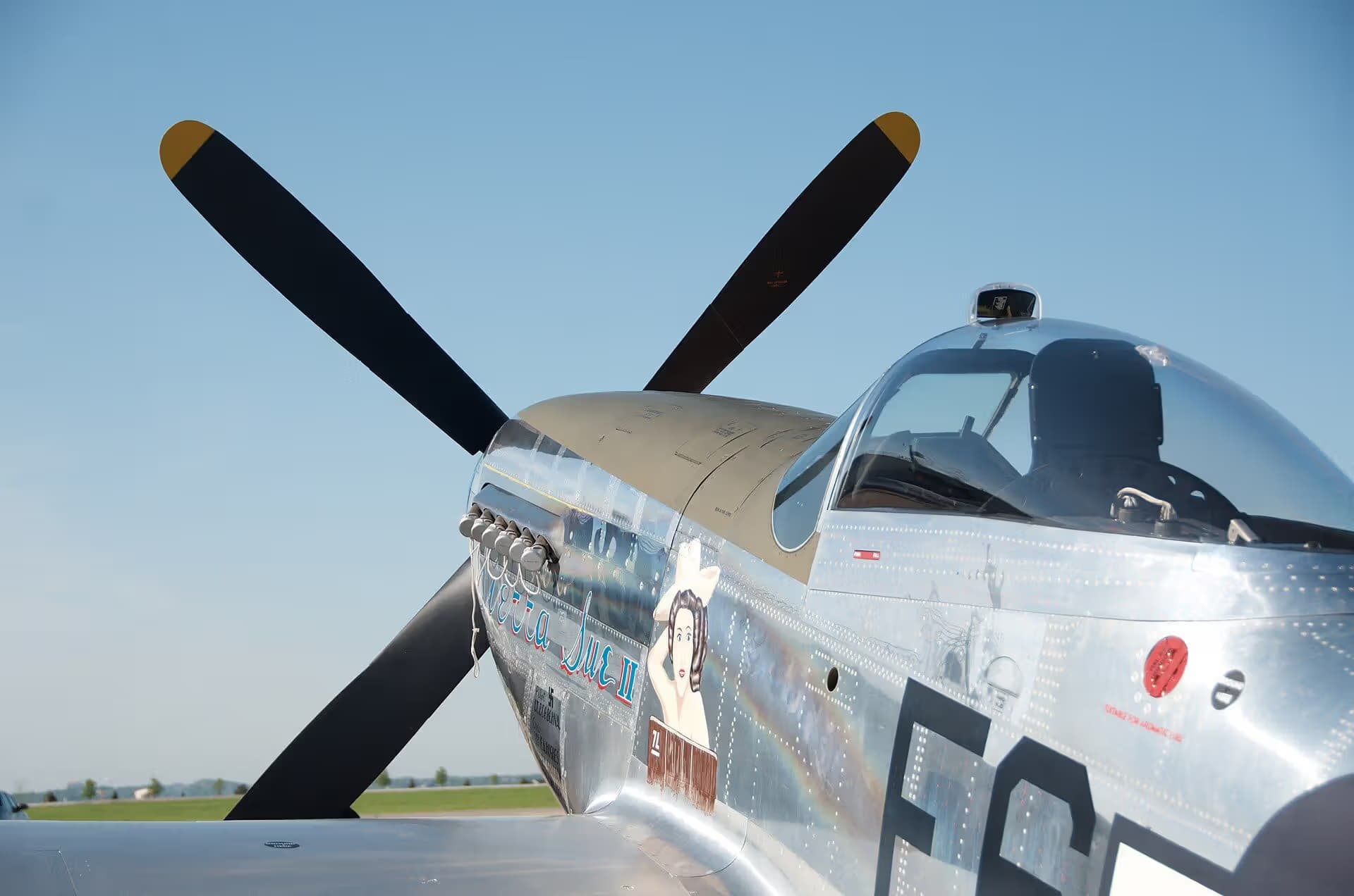 N1751D — Warbird