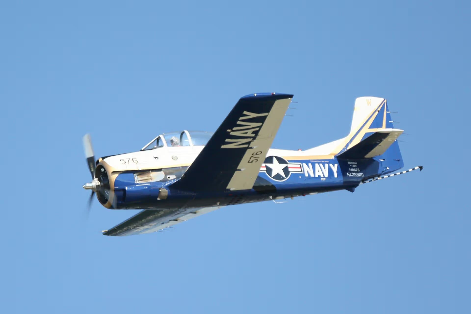 Unidentified — Warbird