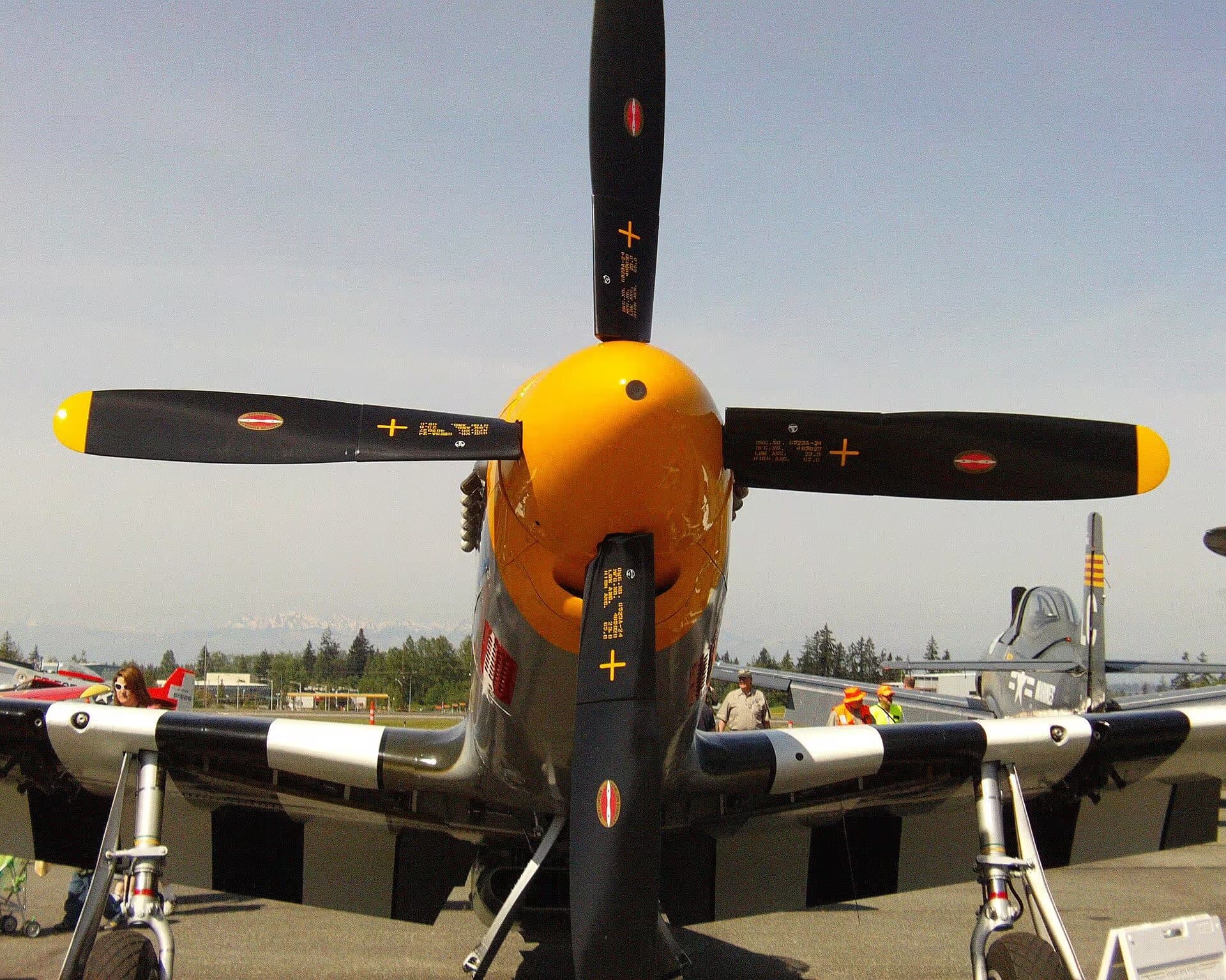 N5087F — Warbird