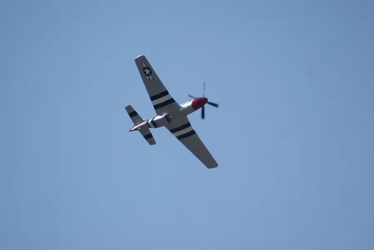 Unidentified — Warbird