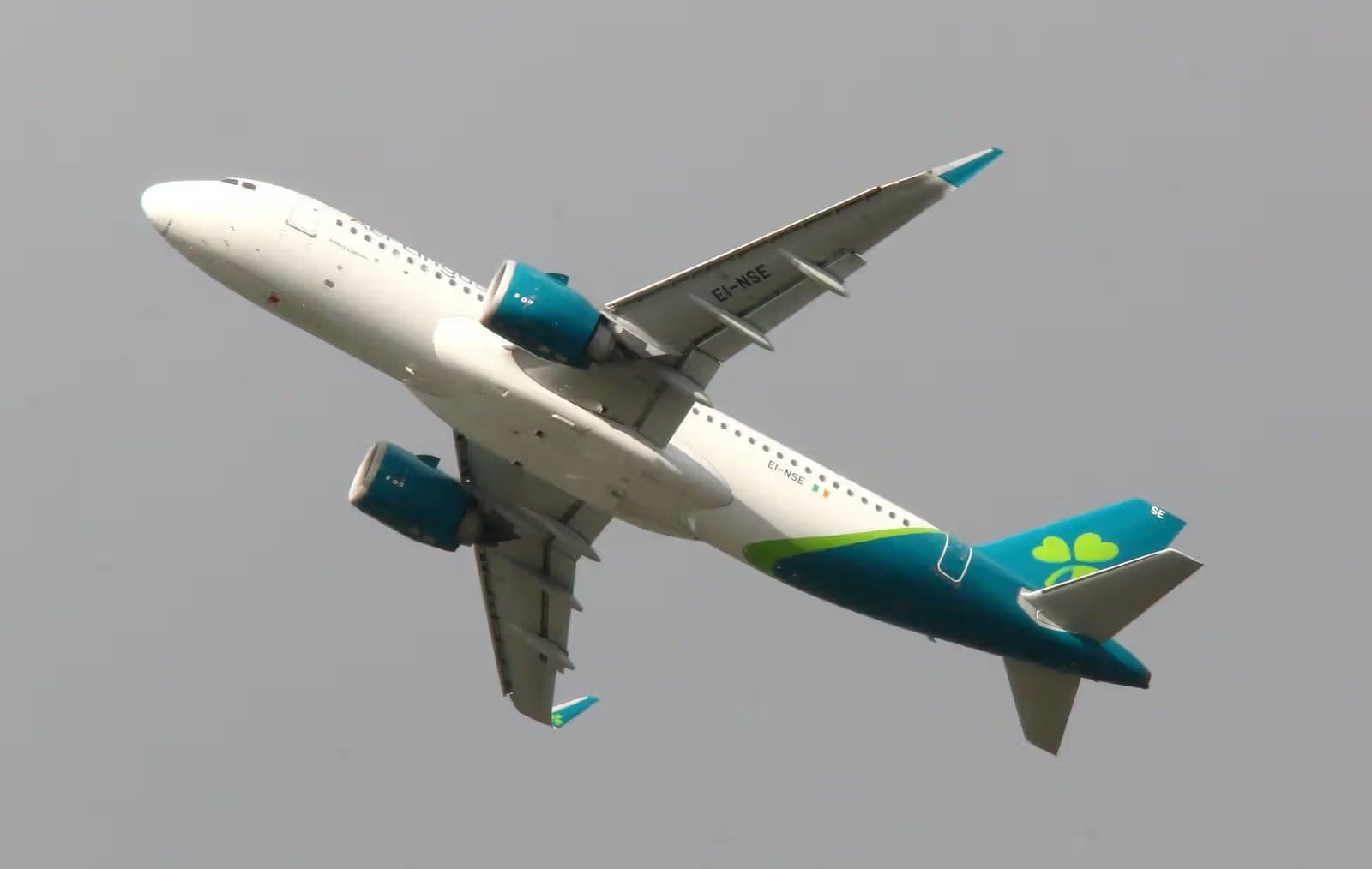 EI-NSE — Twin-engine aircraft