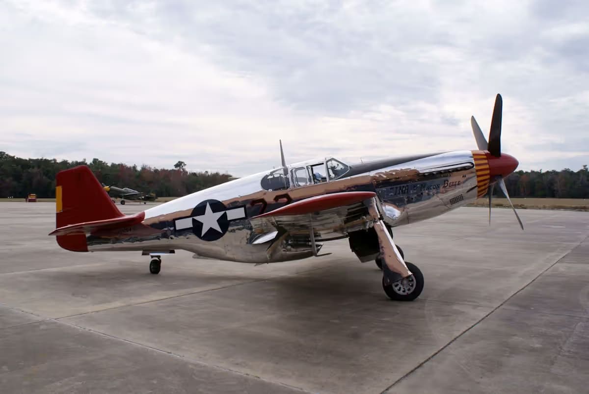 Unidentified — Warbird