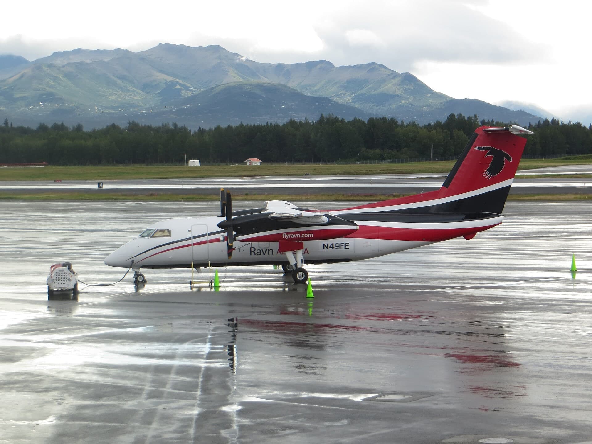 N49FE — De Havilland