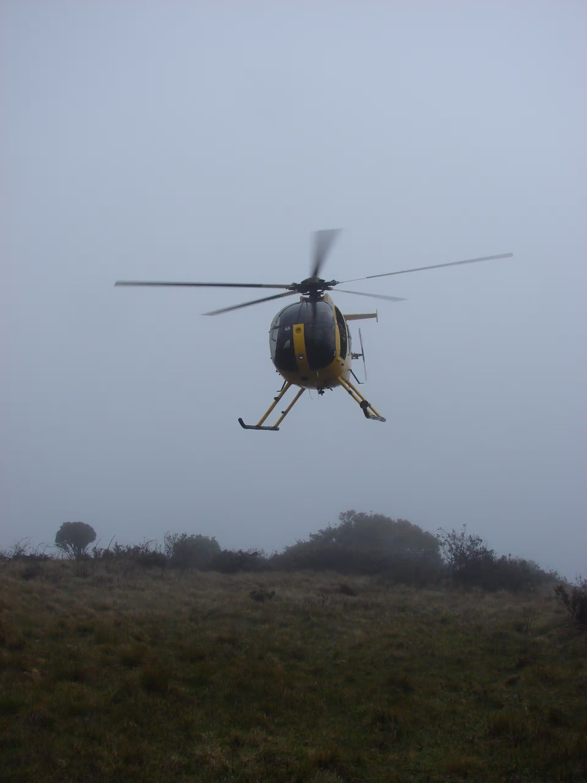 N58251 — Helicopter