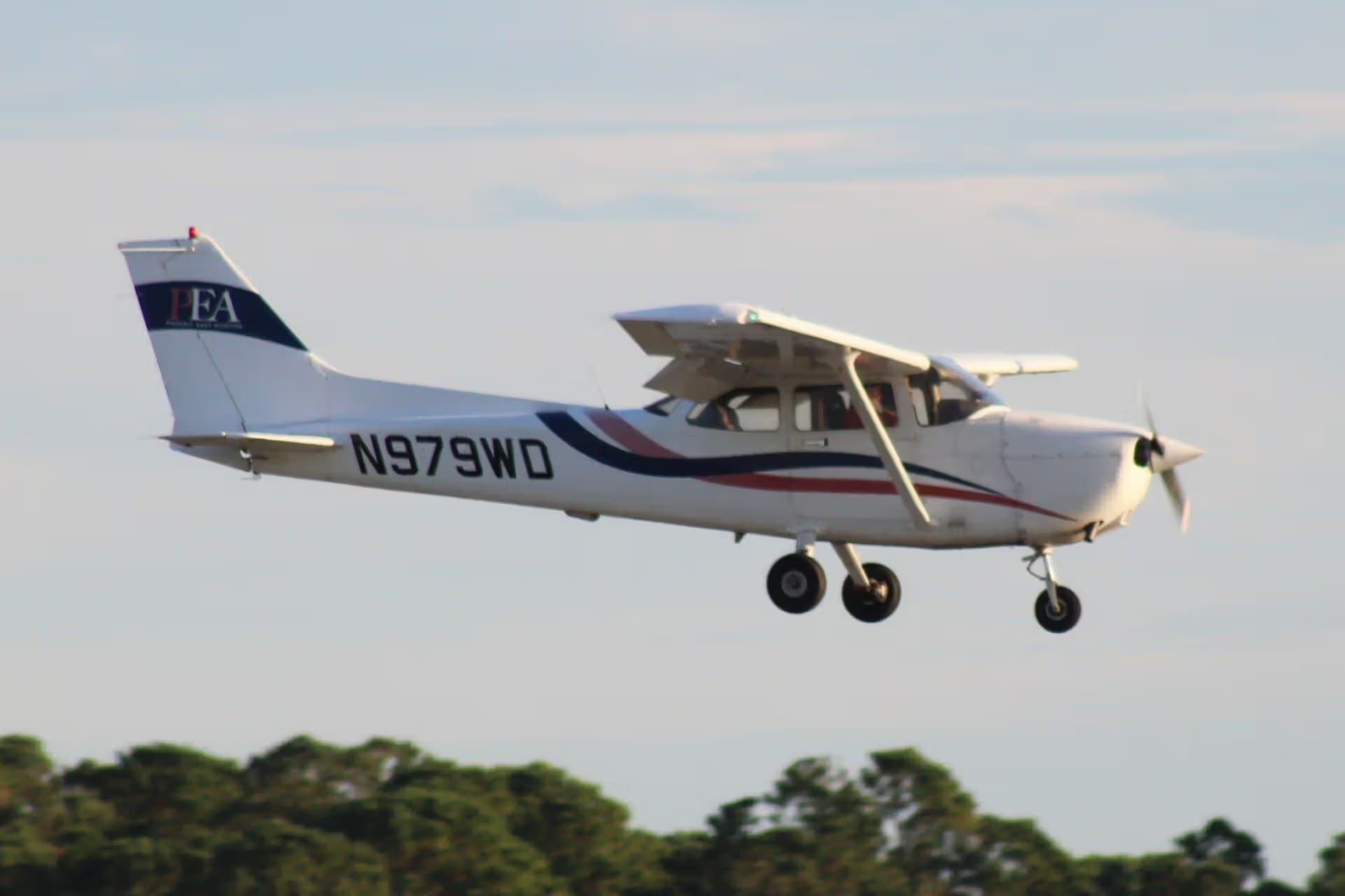 N979WD — Single-engine aircraft